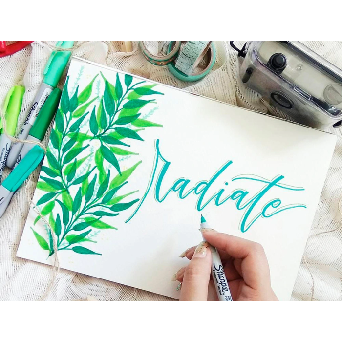 Sharpie Rotulador Permanente Punta Ultrafina, Surtido, Blíster 12 Unidades 6