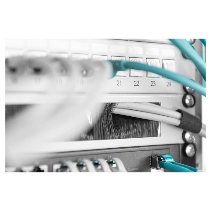 Digitus Regleta de Cepillos para Cables 1HE 24x423mm Gris 2