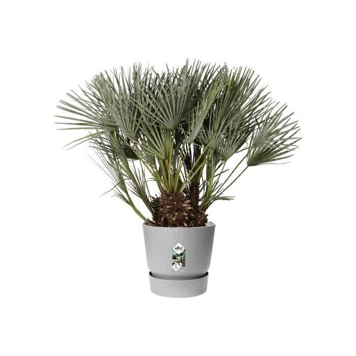 Maceta redonda ELHO Greenville 40 - Exterior - Ø 39 x H 36.8 cm - Hormigón vivo gris 2 Maceta redonda ELHO Greenville 40 - Exterior - Ø 39 x H 36.8 cm - Hormigón vivo gris 2