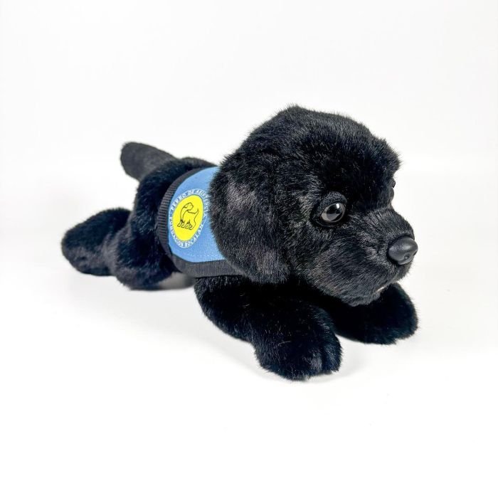 Peluche Labrador Negro 21Cm Con Chaleco 939D00249 Bocalan 1 Peluche Labrador Negro 21Cm Con Chaleco 939D00249 Bocalan 1