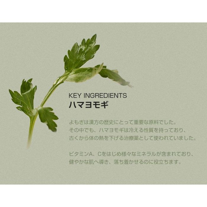 Beauty Of Joseon Matte Sun Stick Mugwort + Camellia Protección Solar 18g 9