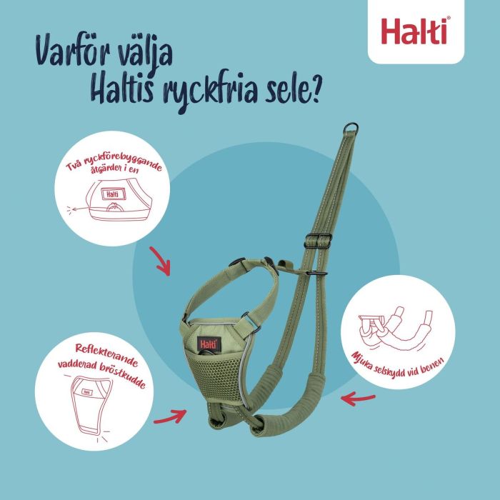 Arnés para Perro Company of Animals FOREST Verde 12 10