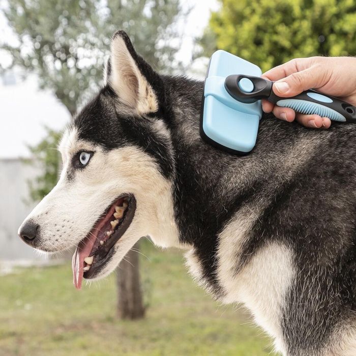 Cepillo de Limpieza para Mascotas con Púas Retráctiles Groombot InnovaGoods