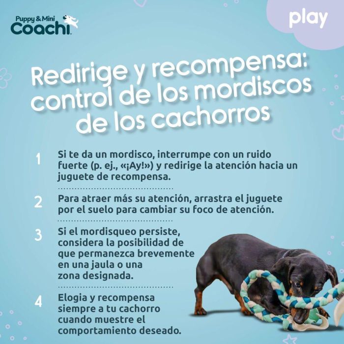 Arnés para Perro Coachi 1 Arnés para Perro Coachi 1