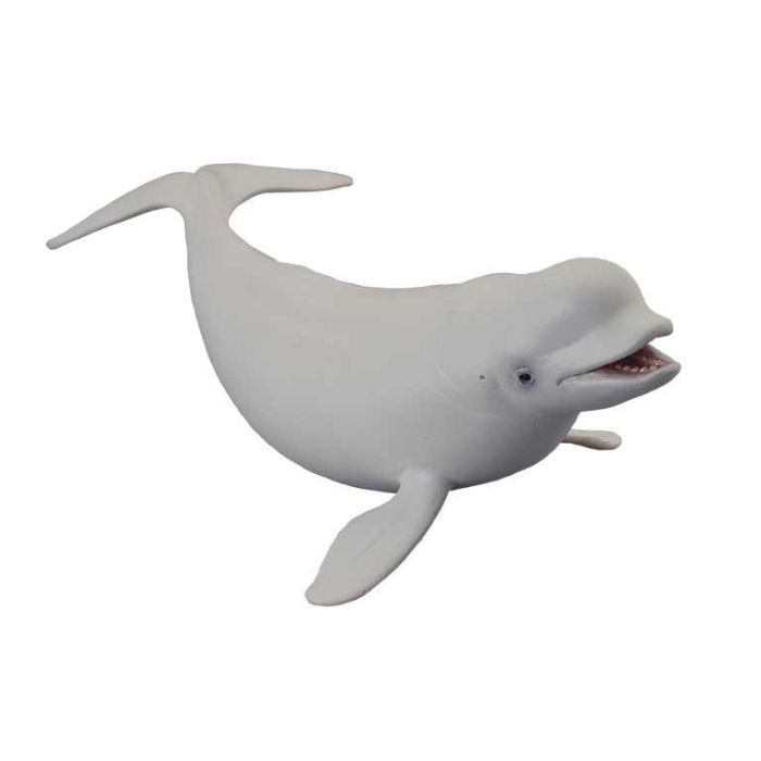 Collecta 88568 Beluga Ballena Réplica Animal Marino a Escala L, Figura Detallada Pintada a Mano, Educativa para Niños +3 años Collecta 88568 Beluga Ballena Réplica Animal Marino a Escala L, Figura Detallada Pintada a Mano, Educativa para Niños +3 años