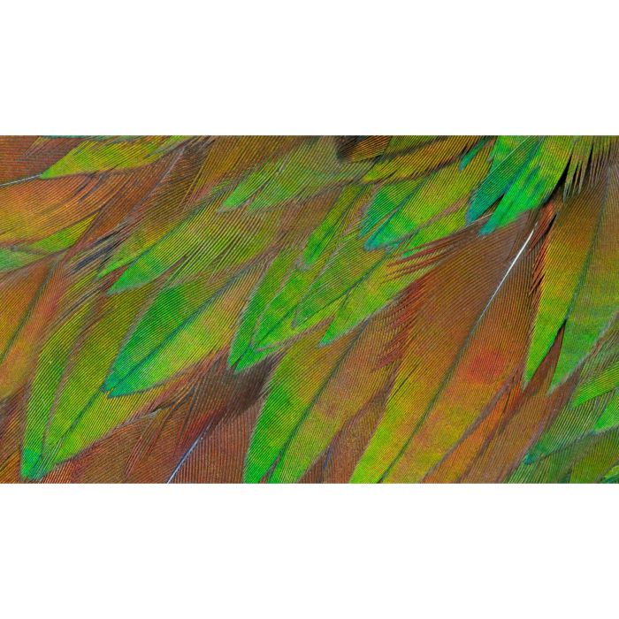 Philips 27B1U3900 Monitor 27" (68.5cm) WLED IPS QHD 2560x1440 16:9 HDMI DisplayPort USB-C con Altura Ajustable 3 Philips 27B1U3900 Monitor 27" (68.5cm) WLED IPS QHD 2560x1440 16:9 HDMI DisplayPort USB-C con Altura Ajustable 3