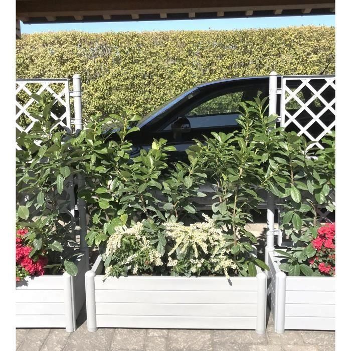 Stefanplast Bandeja Rectangular para Flores Blanca 100x43x35 cm con 80L de Capacidad y Acabado de Madera 1 Stefanplast Bandeja Rectangular para Flores Blanca 100x43x35 cm con 80L de Capacidad y Acabado de Madera 1