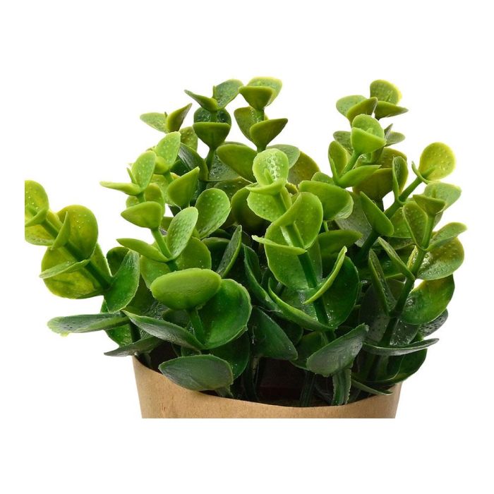 Planta artificial con maceta de papel de 18cm modelos surtidos 808607 4