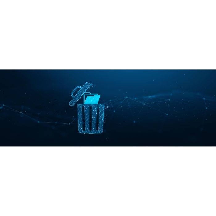 Kingston IronKey D500S USB-Stick 16GB FIPS 140-3 Lvl 3 AES-256 USB 3.2 Gen 1 (3.1 Gen 1) 260 MB/s Lectura 10