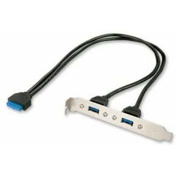 Lindy PC Back Plate USB 3.0 con 2 Puertos