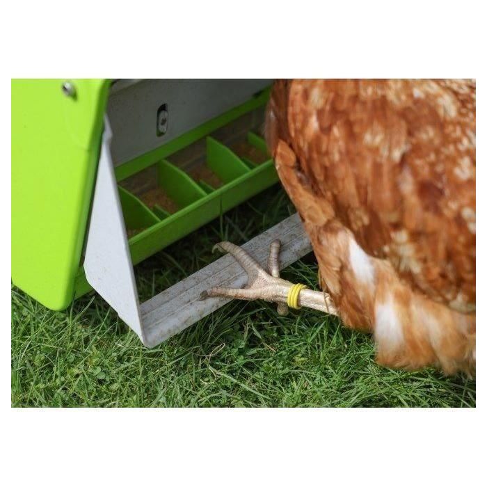 Comedero automático - KERBL - SmartCoop - Persiana protectora - 7,5 kg - Verde 5 Comedero automático - KERBL - SmartCoop - Persiana protectora - 7,5 kg - Verde 5