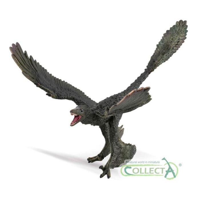 Collecta 88875 Figura Microraptor Escala 1:6 XL - Dinosaurio Carnívoro Alado Coleccionable con Plumas Iridiscentes Collecta 88875 Figura Microraptor Escala 1:6 XL - Dinosaurio Carnívoro Alado Coleccionable con Plumas Iridiscentes