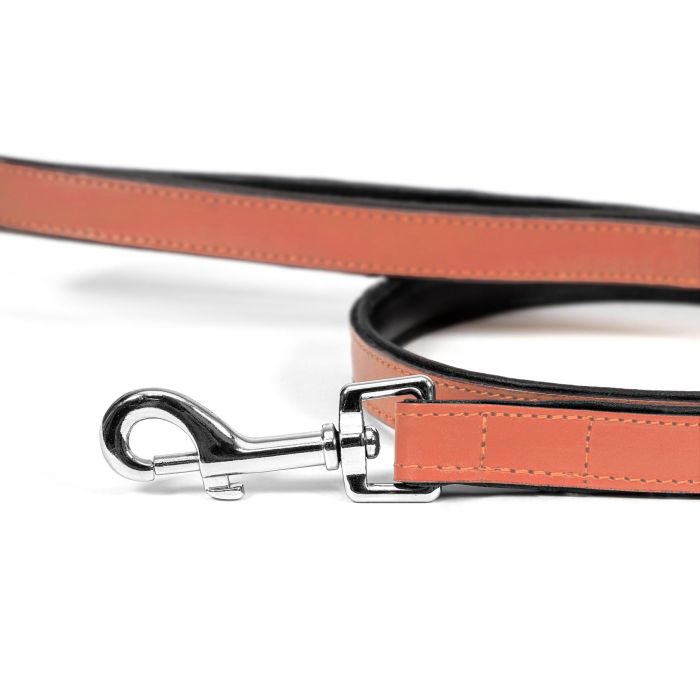 Gloria Correa Piel Auténtica Acolchada para Perro 100 cm x 18 mm, Suave, Mosquetón Robusto Retráctil, 3 Capas, Cosido Reforzado 5