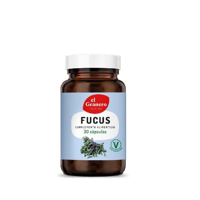 Fucus Fucus