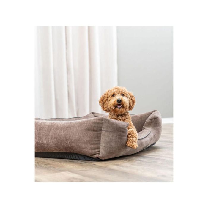 Cama para Perro Trixie Vital Lennox Marrón 60 x 50 cm 2 Cama para Perro Trixie Vital Lennox Marrón 60 x 50 cm 2
