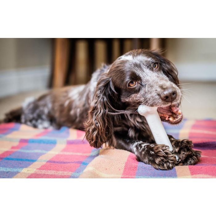 Nylabone Extreme Chew Juguete Masticable de Nylon Duradero para Perros Potentes Sabor Pollo Talla M con Limpieza Dental 2