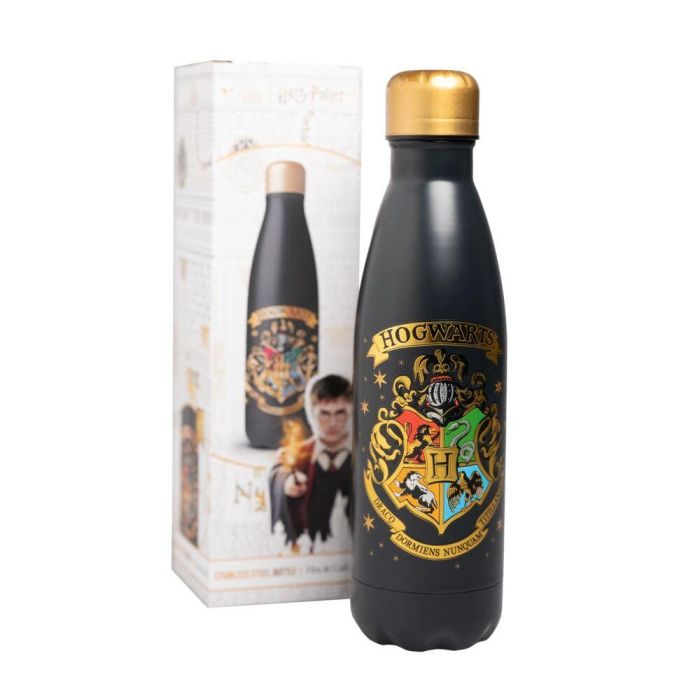 Botella acero inoxidable Hogwarts Harry Potter 500ml 1 Botella acero inoxidable Hogwarts Harry Potter 500ml 1