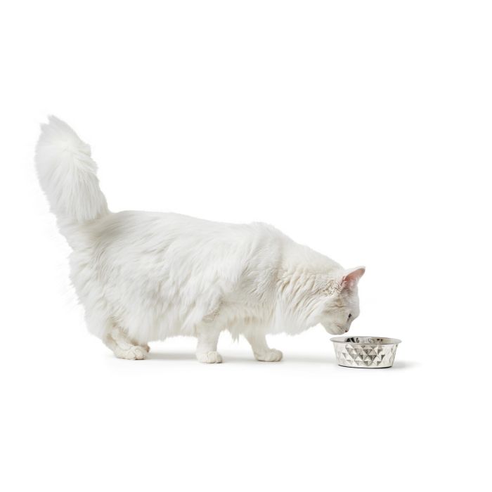 Hunter Comedero para Mascotas Namy 2600 mL Acero Inoxidable con Aro de Silicona Antideslizante, Forma Diamante, Apto Lavavajillas