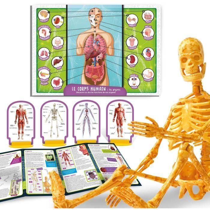Lisciani Giochi LIS8008324104970 Kit científico Descubrimiento del cuerpo humano I'M A GENIUS POCKET Modelo 3D 1