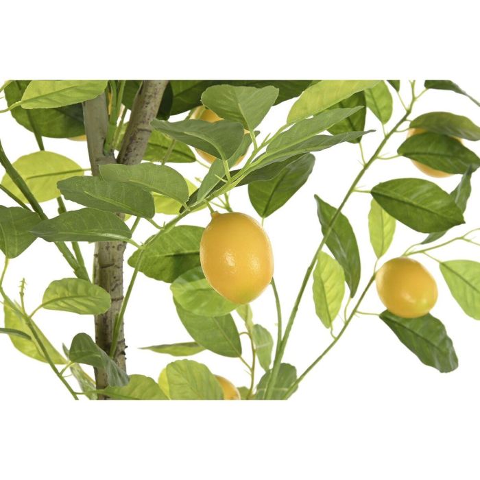 Árbol DKD Home Decor Limonero Poliéster Polipropileno (90 x 90 x 180 cm) 1