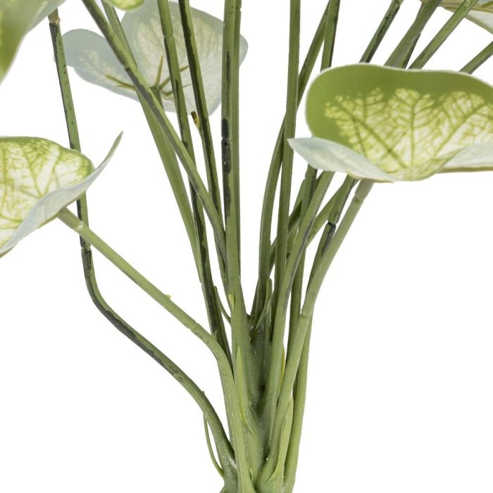 Rama Singonio Verde "Pvc" 36 X 38 X 48 cm