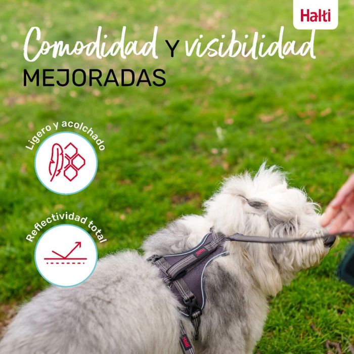 Halti Arnés Perro Anatomy Gris Talla L Cuerpo 60-85 cm, Ajustable con Asa, Acolchado Neopreno y Reflectante 360°, 3 Puntos de Enganche 2 Halti Arnés Perro Anatomy Gris Talla L Cuerpo 60-85 cm, Ajustable con Asa, Acolchado Neopreno y Reflectante 360°, 3 Puntos de Enganche 2