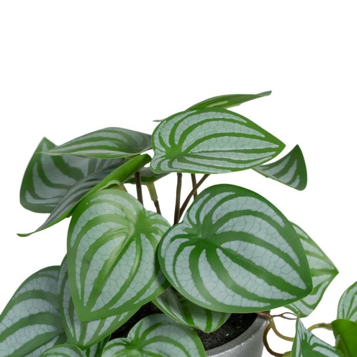 Potos Verde-Blanco "Pvc" 25 X 21 X 21,50 cm