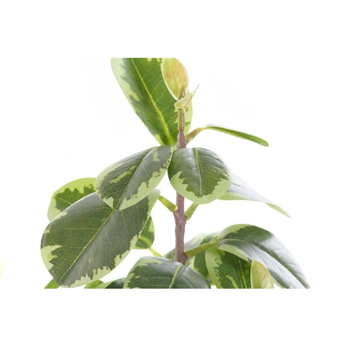 Planta DKD Home Decor Verde Negro 15 x 35 x 20 cm (4 Unidades) 2 Planta DKD Home Decor Verde Negro 15 x 35 x 20 cm (4 Unidades) 2