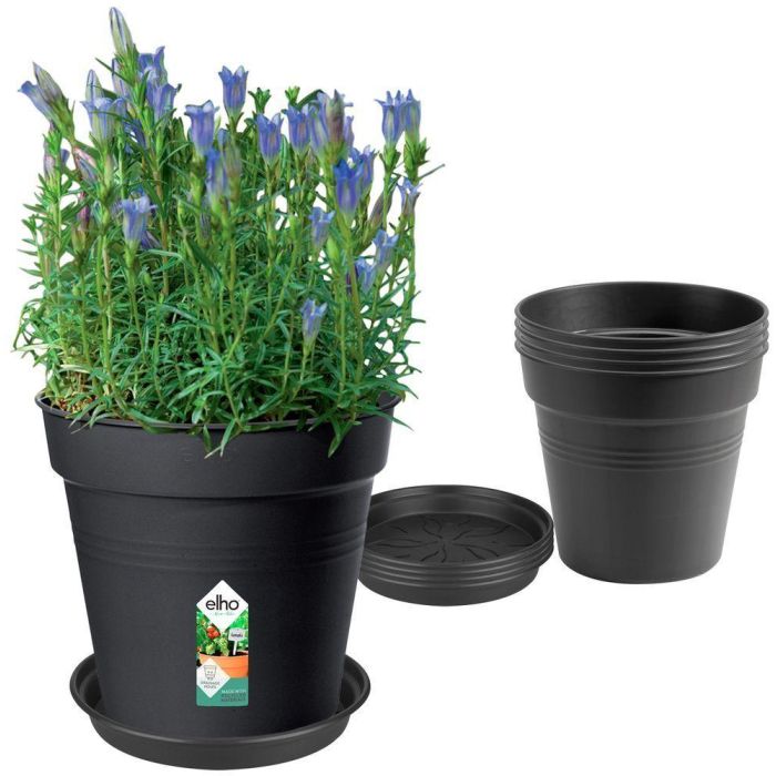 Elho 6811701443341 Set 5 Macetas Green Basics con Plato Negro - Ø17 x Al15,7 cm + Plato Ø14 cm - 4 L 0 Elho 6811701443341 Set 5 Macetas Green Basics con Plato Negro - Ø17 x Al15,7 cm + Plato Ø14 cm - 4 L 0