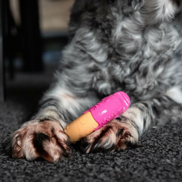 Juguete para perros Nylabone Rosa Bacon M 1 Juguete para perros Nylabone Rosa Bacon M 1