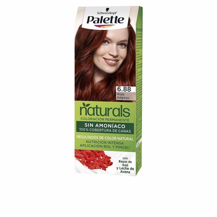 Tinte Permanente Palette Natural Schwarzkopf 3