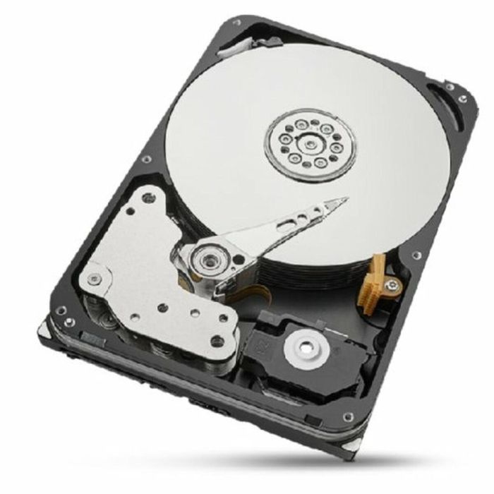 Disco Duro Seagate ST20000NT001 3,5" 20 TB 3