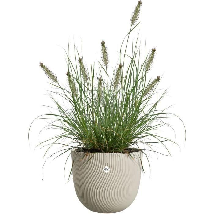 Maceta - ELHO - Sereh Round 30 - Beige - L 30 x A 29,5 x A 25 cm - 100% reciclado 1 Maceta - ELHO - Sereh Round 30 - Beige - L 30 x A 29,5 x A 25 cm - 100% reciclado 1