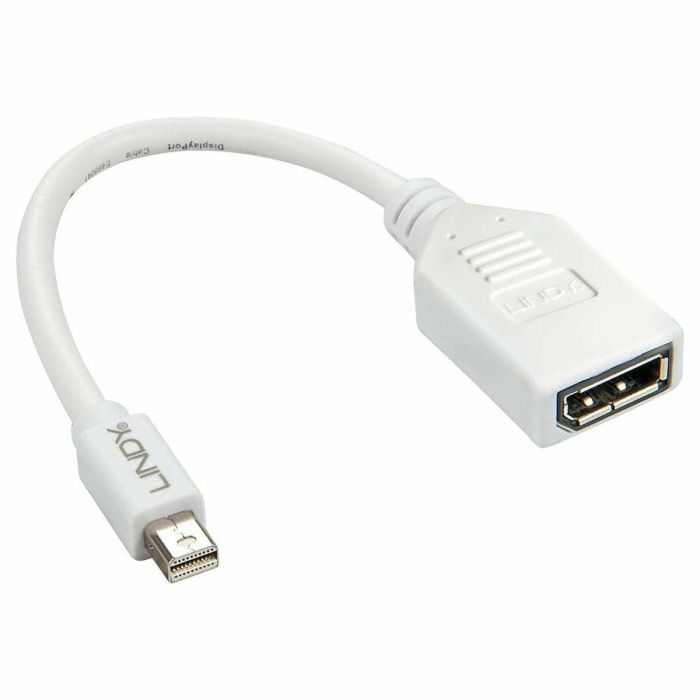 Adaptador Mini DisplayPort a DisplayPort LINDY 41021 Blanco Adaptador Mini DisplayPort a DisplayPort LINDY 41021 Blanco
