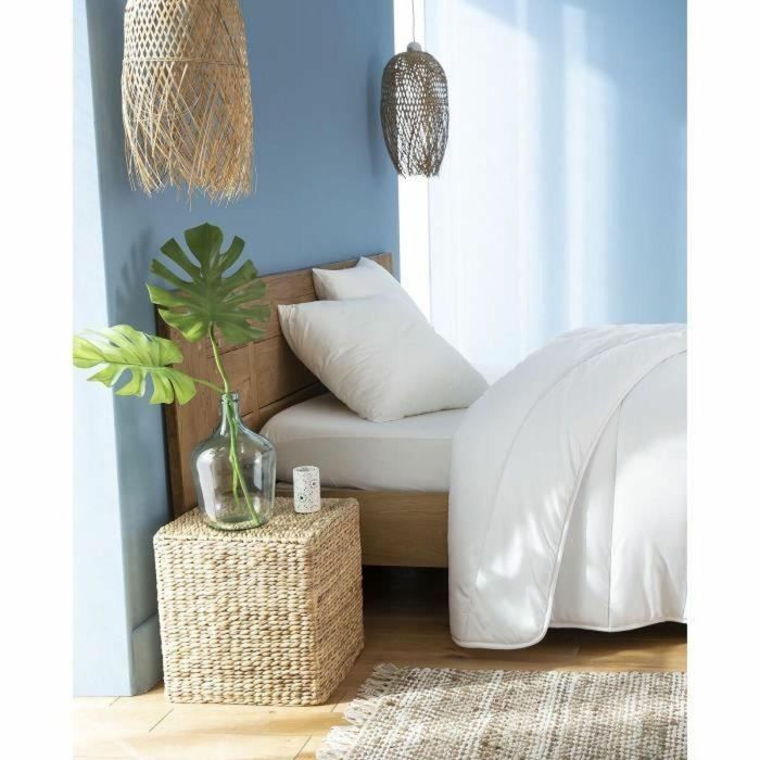 Abeil Juego de 2 Almohadas FluffyDream 60 x 60 cm 1