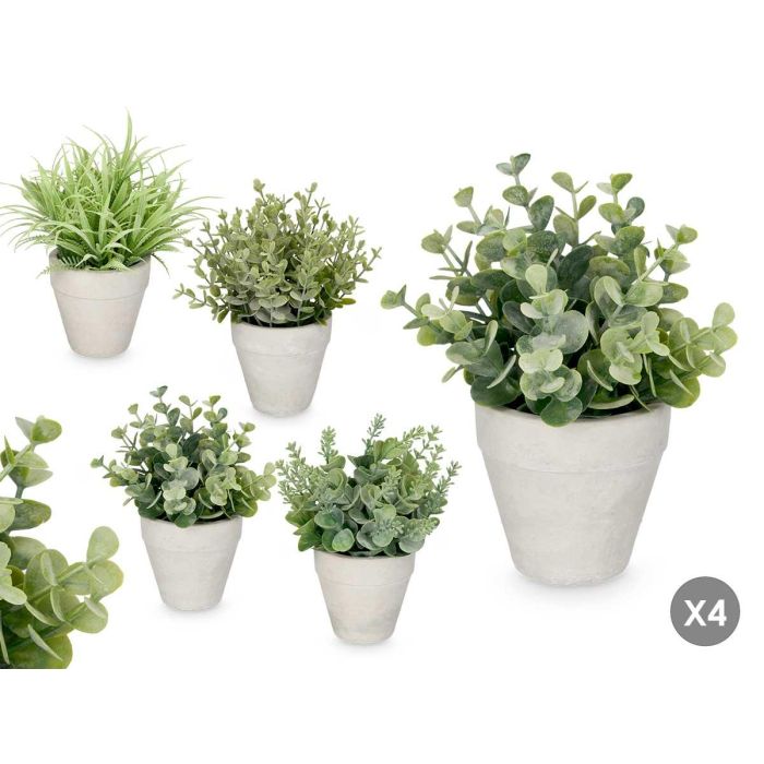 Maceta Hojas Verdes Surtidos Ibergarden 18x20x15cm (24 Unidades) 0 Maceta Hojas Verdes Surtidos Ibergarden 18x20x15cm (24 Unidades) 0