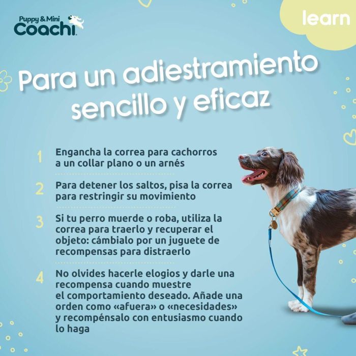 Arnés para Perro Coachi 1 Arnés para Perro Coachi 1