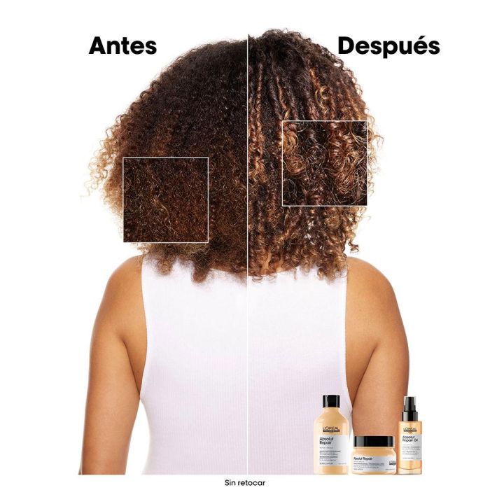 L'Oreal Mascarilla Absolut Repair Reparadora Cabello Dañado 250ml Nuevo Formato L'Oreal Mascarilla Absolut Repair Reparadora Cabello Dañado 250ml Nuevo Formato