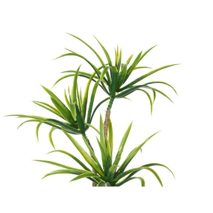 Maceta Cemento Mediana Palmera Verde Ibergarden 22X41CM (12 Unidades) 2 Maceta Cemento Mediana Palmera Verde Ibergarden 22X41CM (12 Unidades) 2