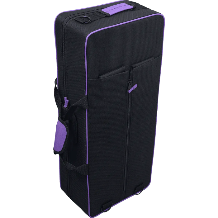 SML Saxofón Alto A420-II Dorado Lacado 3