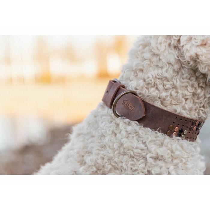 Collar para Perro Trixie Rustic Marrón oscuro L 4 Collar para Perro Trixie Rustic Marrón oscuro L 4
