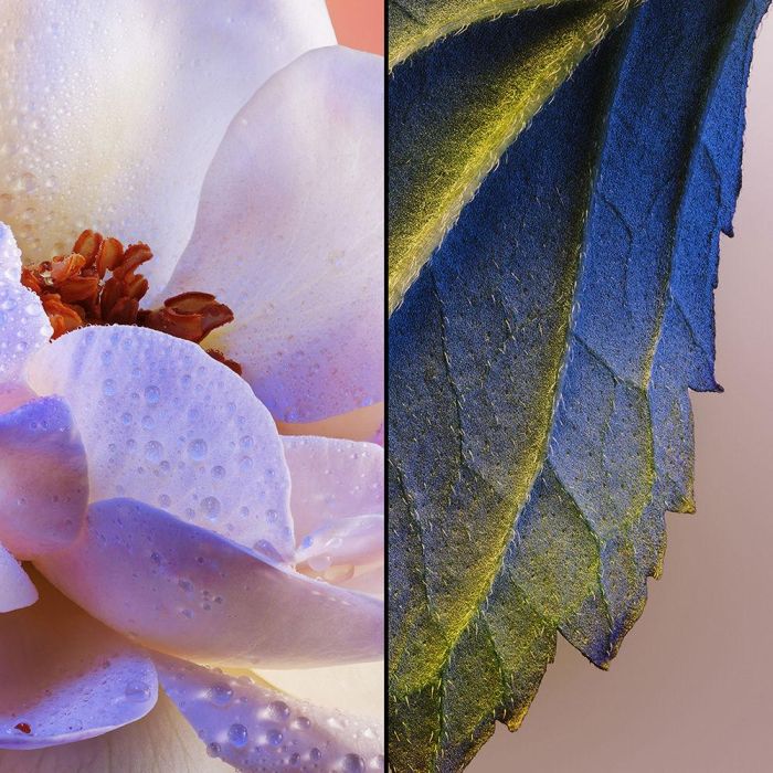 Guerlain Idylle Eau de Parfum 75 mL