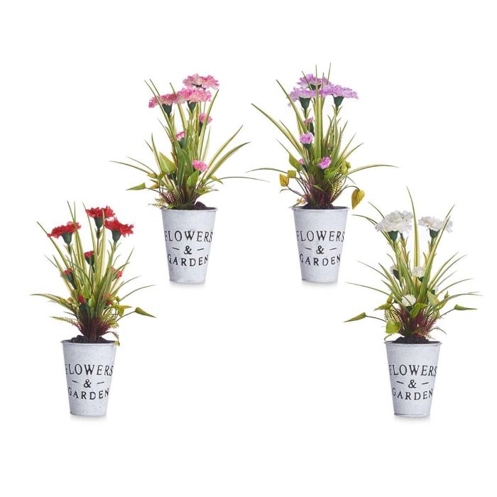 Planta Clavel Bote Metal Surtidos Ibergarden 15x31x12cm (12 Unidades) 1 Planta Clavel Bote Metal Surtidos Ibergarden 15x31x12cm (12 Unidades) 1