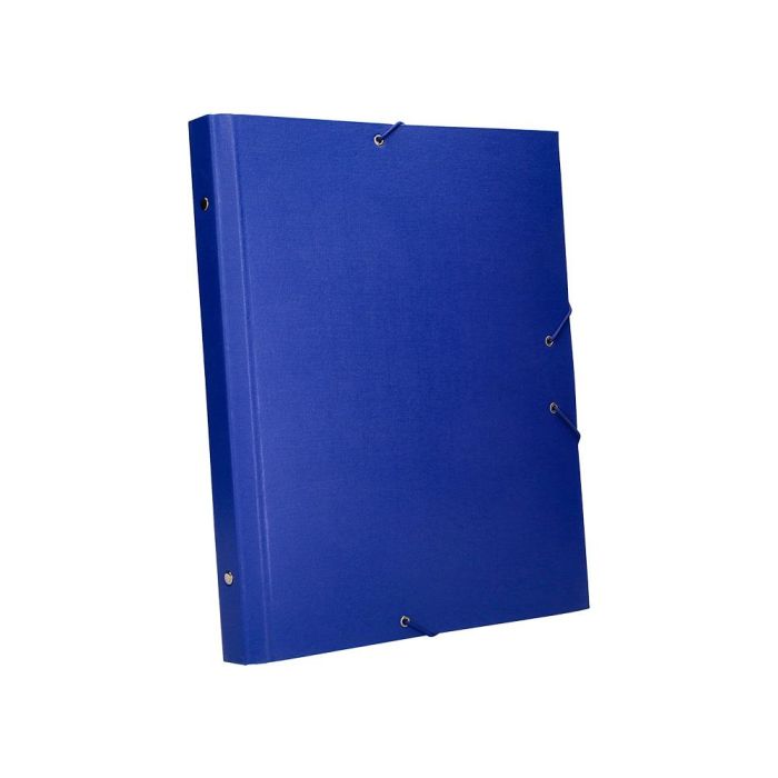 Carpeta Clasificadora Liderpapel 12 Departamentos Folio Prolongado Carton Forrado Azul 5