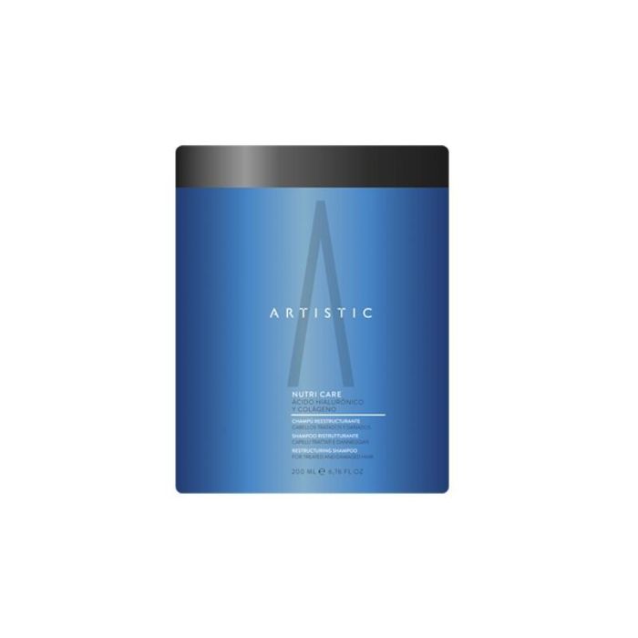 Hydra Care Mask 1000 mL Artistic Hair