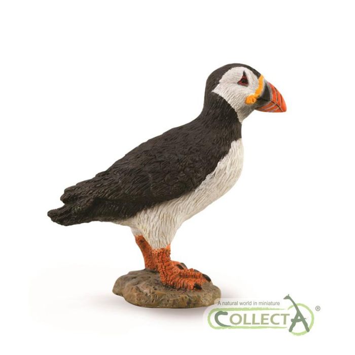 Collecta 88895 Figura Frailecillo M - Réplica Detallada de Ave Marina Pelágica con Pico Rojo Anaranjado para Niños +3 Años Collecta 88895 Figura Frailecillo M - Réplica Detallada de Ave Marina Pelágica con Pico Rojo Anaranjado para Niños +3 Años