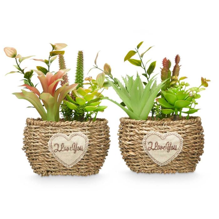 Maceta Ovalada Surtidos Ibergarden 14X22CM (12 Unidades) 2 Maceta Ovalada Surtidos Ibergarden 14X22CM (12 Unidades) 2