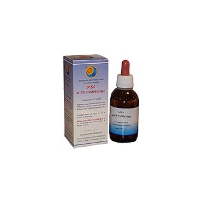 Msa Acer Campestre Yemas 50Ml.