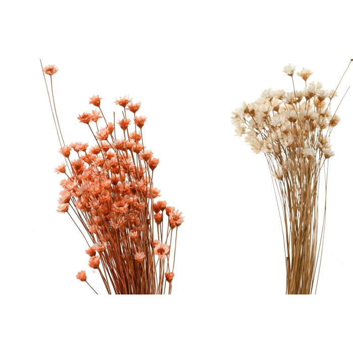 DKD Home Decor Ramo Shabby Blanco Naranja 10 x 30 x 10 cm (12 Unidades) Flor Seca 1