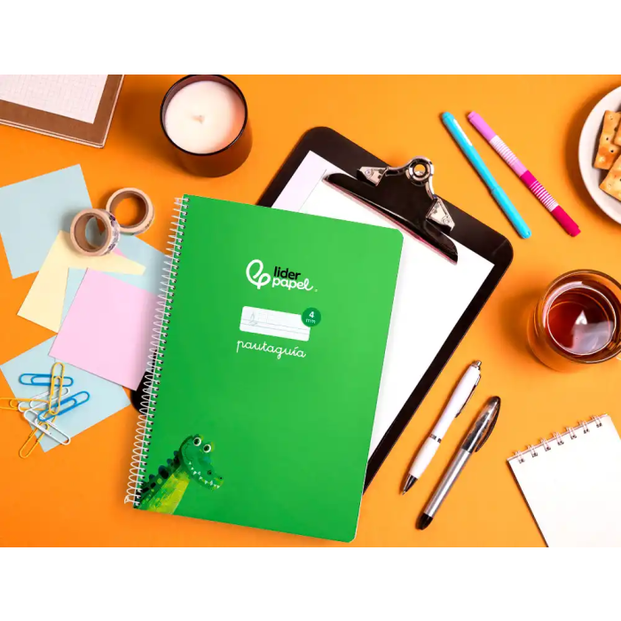 Liderpapel Cuaderno espiral Pautaguía A4 tapa blanda 80 hojas cuadro pautado 4mm color verde 7 Liderpapel Cuaderno espiral Pautaguía A4 tapa blanda 80 hojas cuadro pautado 4mm color verde 7